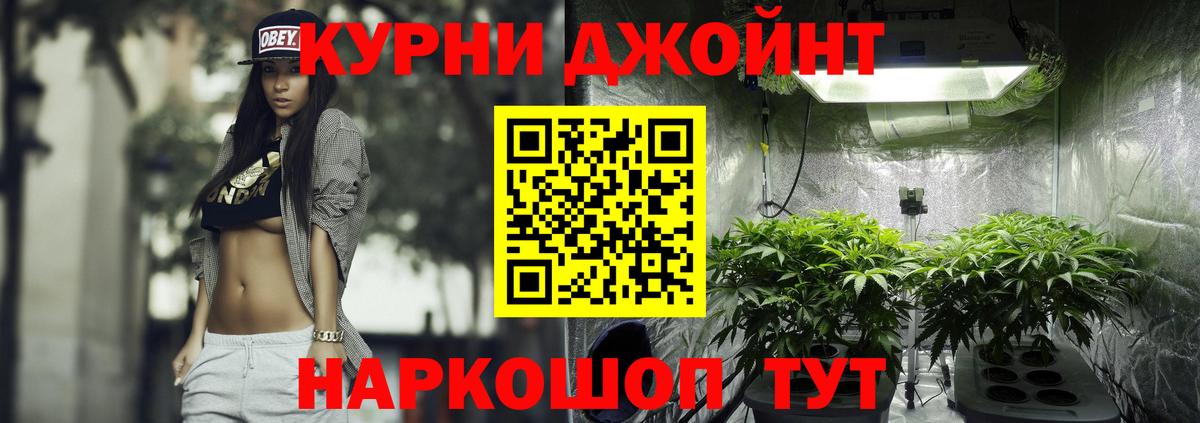 Марихуана ГИДРОПОН  Вход с VPN  Вольск  МАРИХУАНА OG Kush  Бошки Шишки MAZAR 