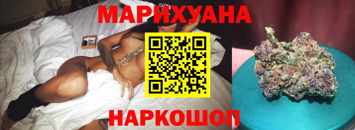 Бошки Шишки планчик Вольск